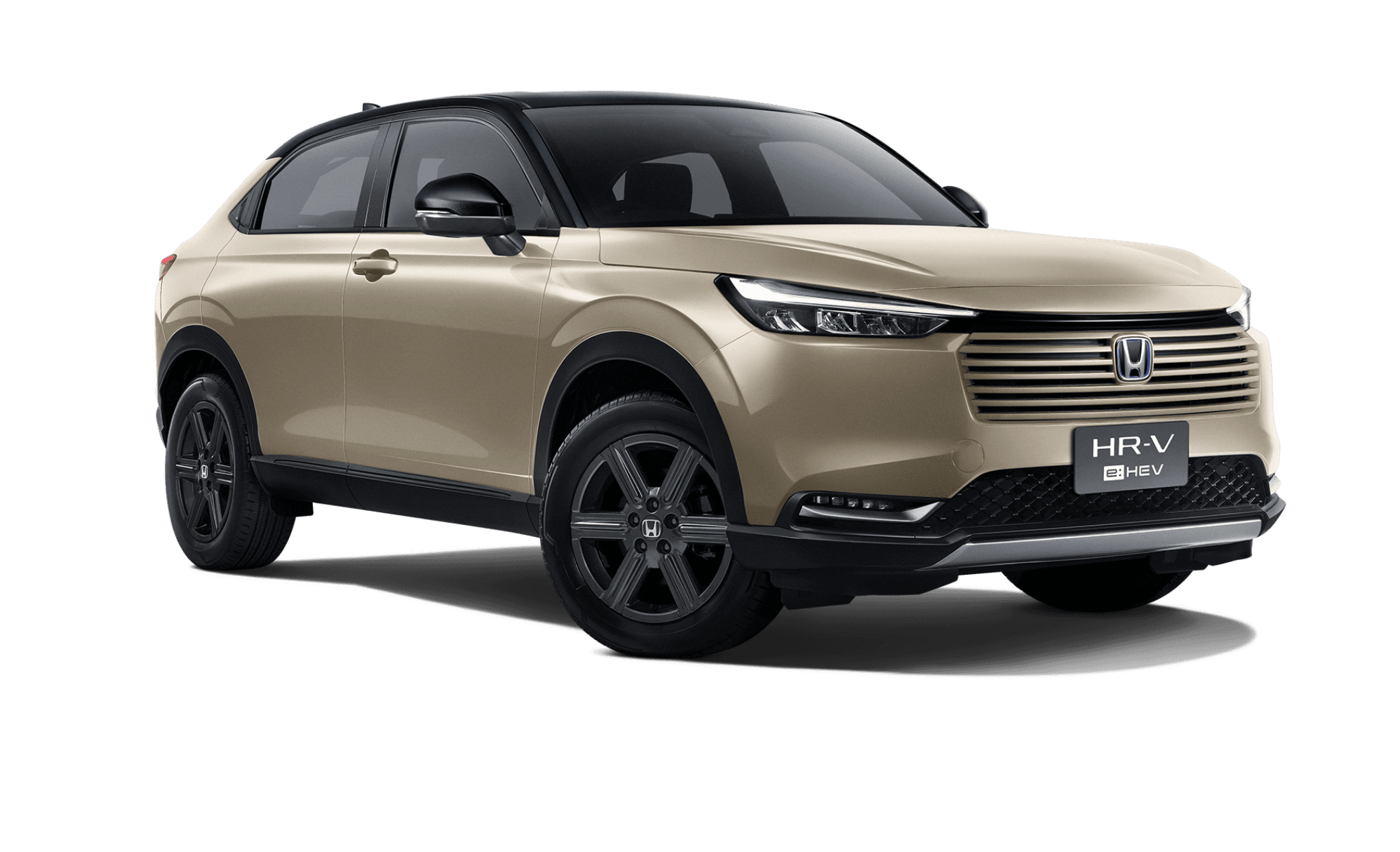 b5270f8a-f09b-4d6b-8034-935cfff92118